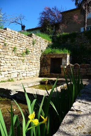 Terrain de l’hébergement 