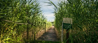 Small and very individual chalet with a special charm right on the lake...