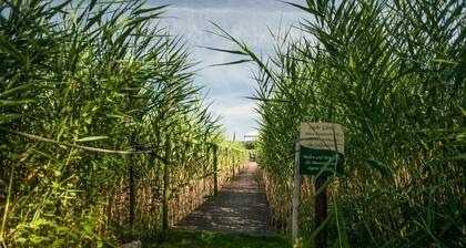 Small and very individual chalet with a special charm right on the lake...