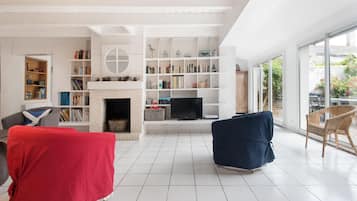Télévision, cheminée, lecteur de DVD, livres