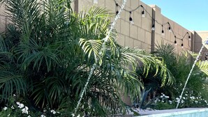A swimming pool with a concrete edge, surrounded by lush green palm trees and a building with a beige facade.