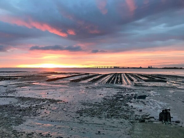 A coastal landscape with a sunset, a pier, and a cultivated field.