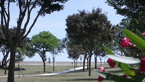 Un parque con árboles, un banco y cielo despejado.