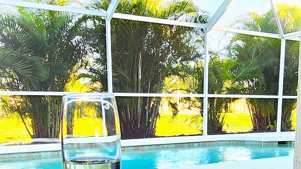 Una copa de vino blanco, un cuenco de fresas y arándanos, y vista a la piscina con palmeras.
