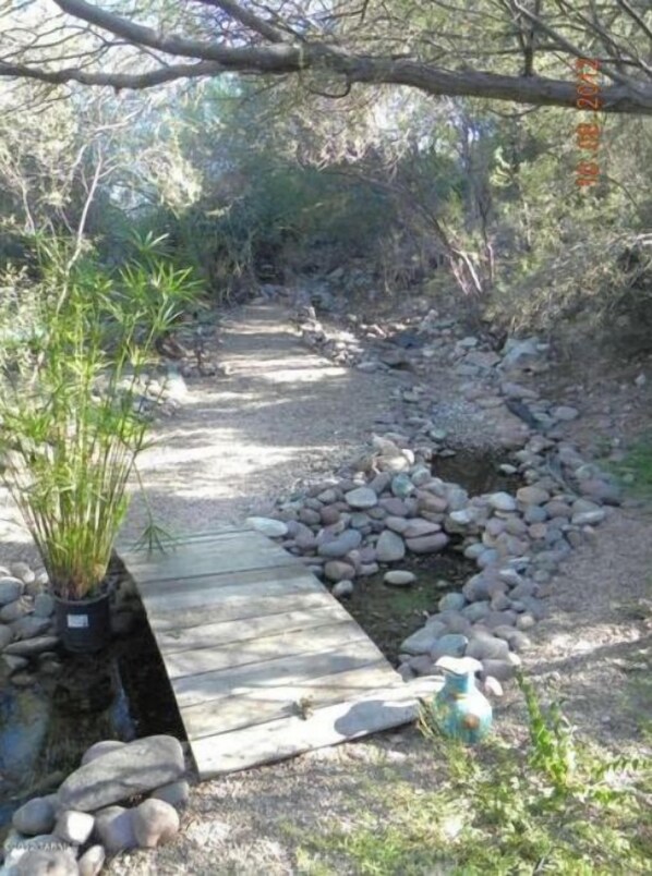A narrow wooden pathway flanked by rocks and plants, leading through a natural, wooded area. - Paneramic views (Tucson)