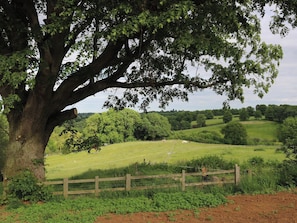 Un paysage rural avec un grand arbre, un champ clôturé et des collines douces en arrière-plan.