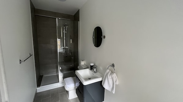 A modern bathroom with a glass shower enclosure, a white sink, and a toilet.