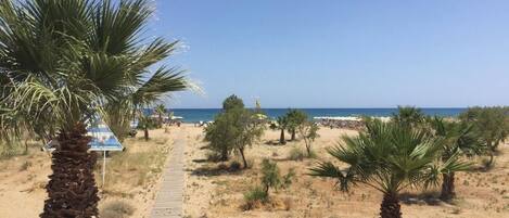 Strand
