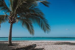Beach - Warm & nicely decorated unit @ unbeatable location (Oranjestad)
