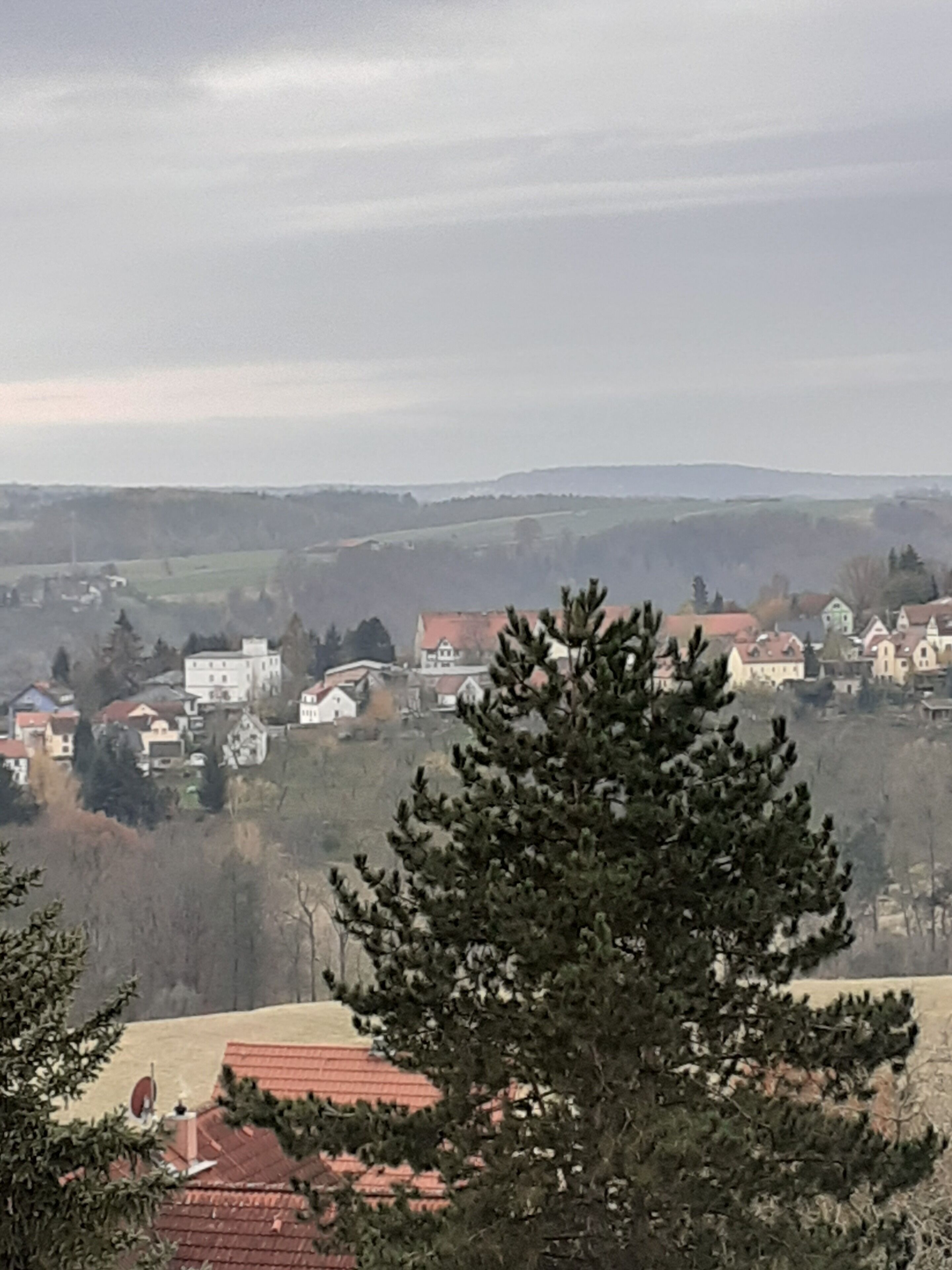 A rural landscape with houses, a prominent pine tree, and rolling hills in the background.
