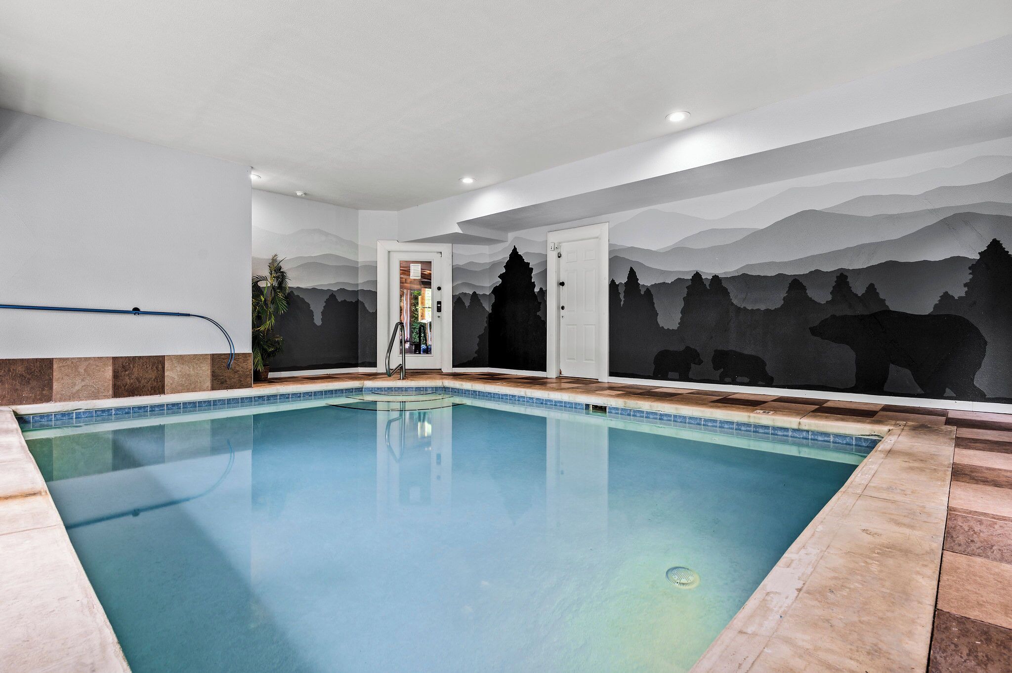 Pet friendly, FULLY LOADED. Sleeps 20 in the Smokies