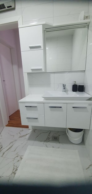 Shower, hair dryer, bidet, towels