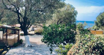 Blue Med Re Leone, Palinuro, Cilento