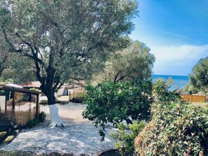 Terrain de l’hébergement 