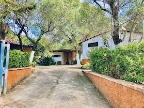 Property grounds - Blue Med Bambi, Palinuro, Cilento (Palinuro)