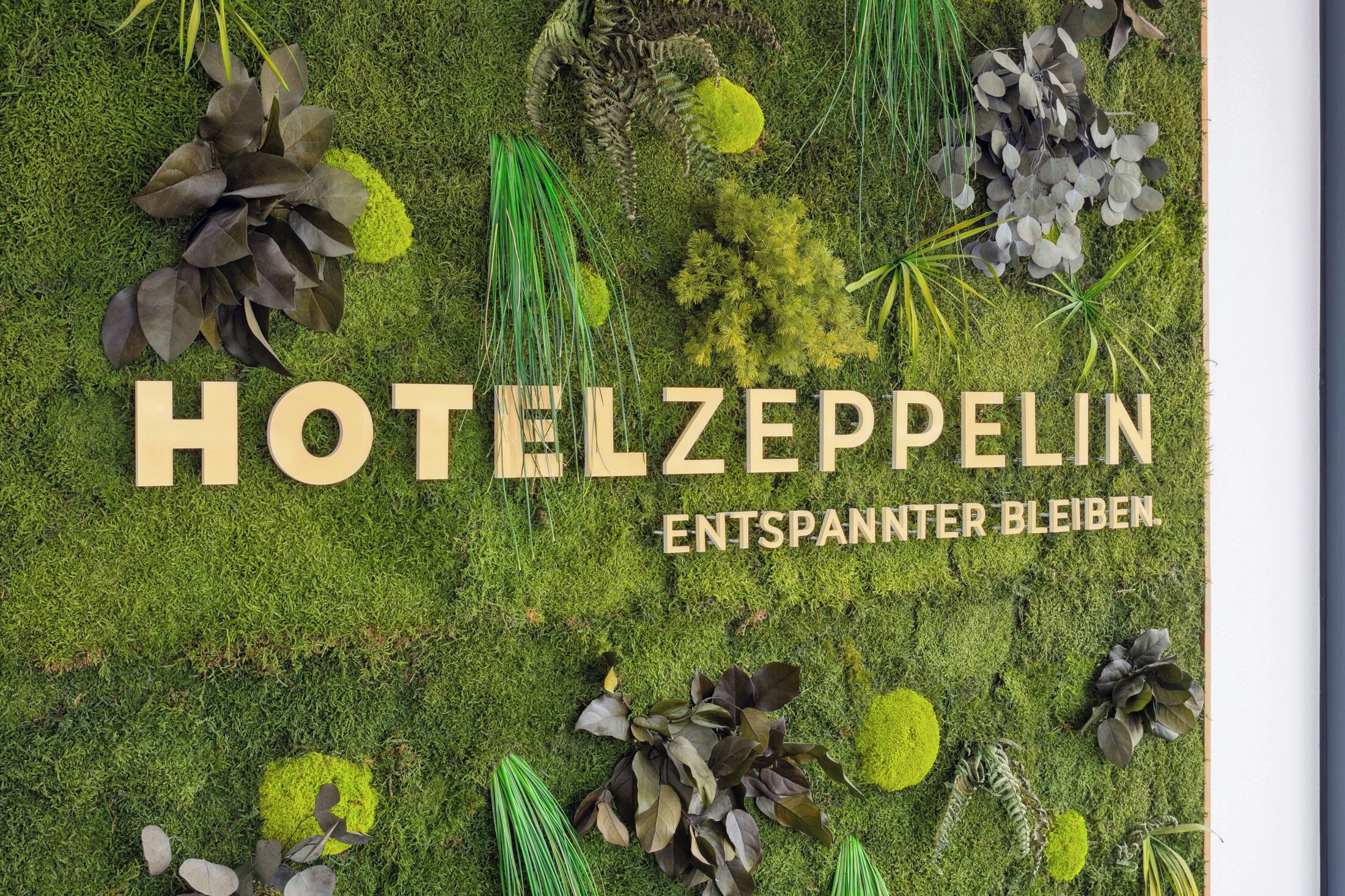 A hotel named HOTELZEPPELIN with a green, mossy wall and various plants.