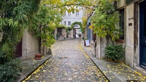 Una calle adoquinada con edificios a ambos lados, un estrecho callejón y algo de vegetación.