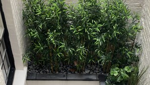 Une cour avec un sol carrelé aux motifs décoratifs, entourée de plantes et bordée de pierres.