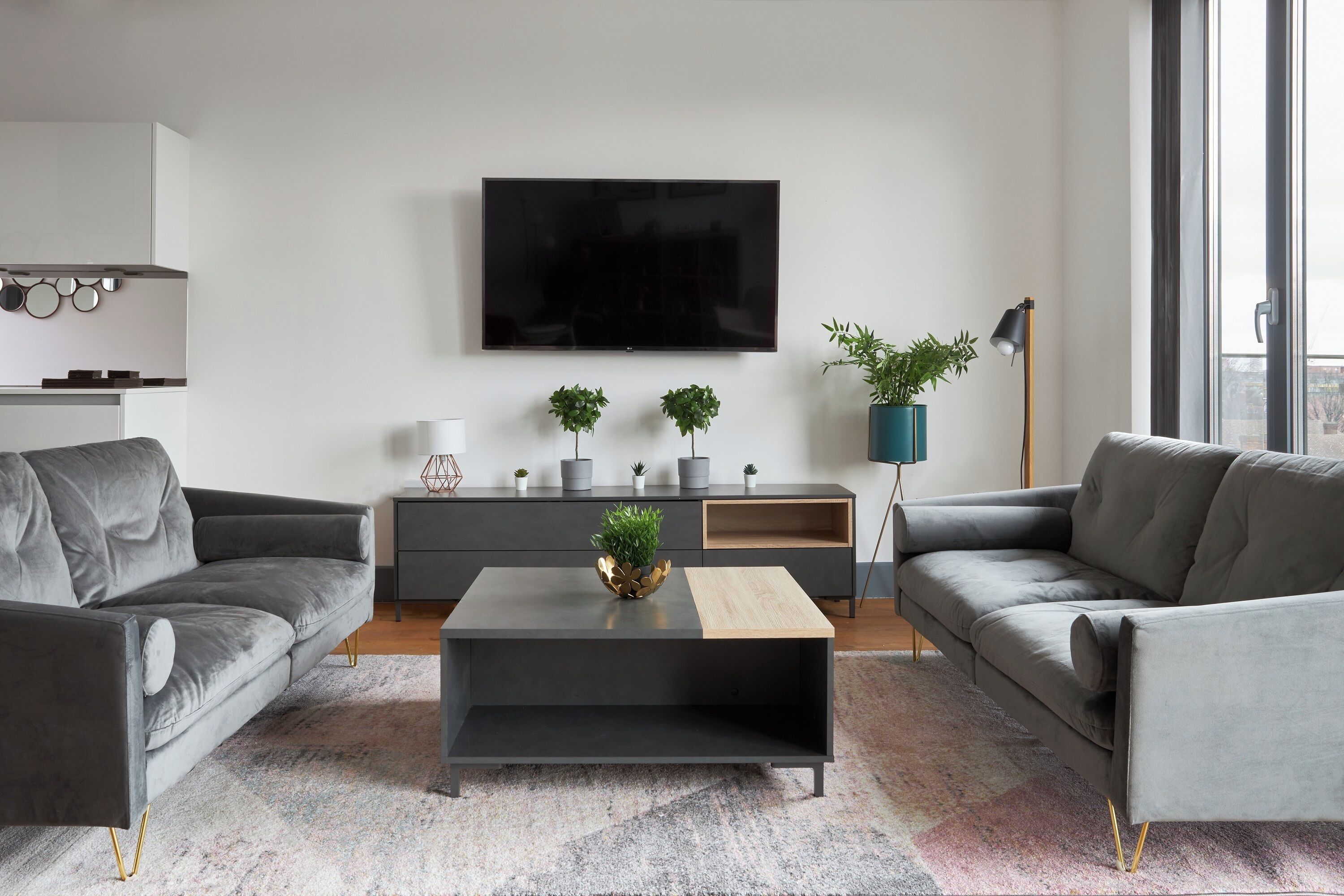 A modern living room with a flat-screen TV, two grey sofas, a coffee table, and a small plant.