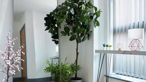A modern room with a large mirror, wooden flooring, and potted plants. - Canning Town by Viridian Apartments (London)
