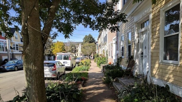 Une rue résidentielle bordée de maisons, de voitures garées et d’un trottoir agrémenté de plantes.