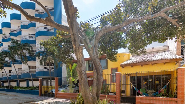 Un edificio con balcones, un árbol en primer plano y un edificio amarillo con una hamaca.