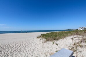 On the beach