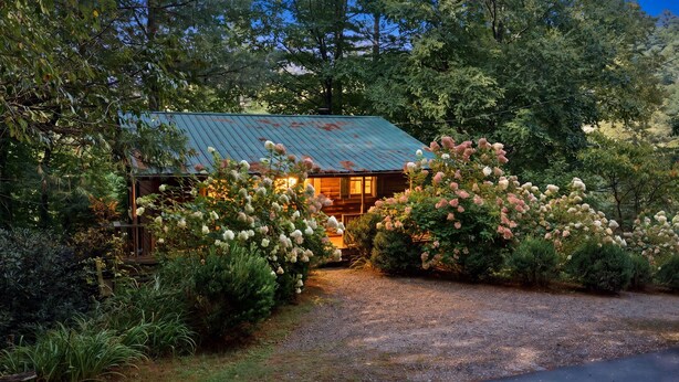 Un chalet rustique avec un toit en métal, entouré d’une végétation luxuriante et de plantes en fleurs.