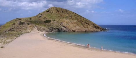 靠近海滩