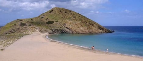 Plage à proximité