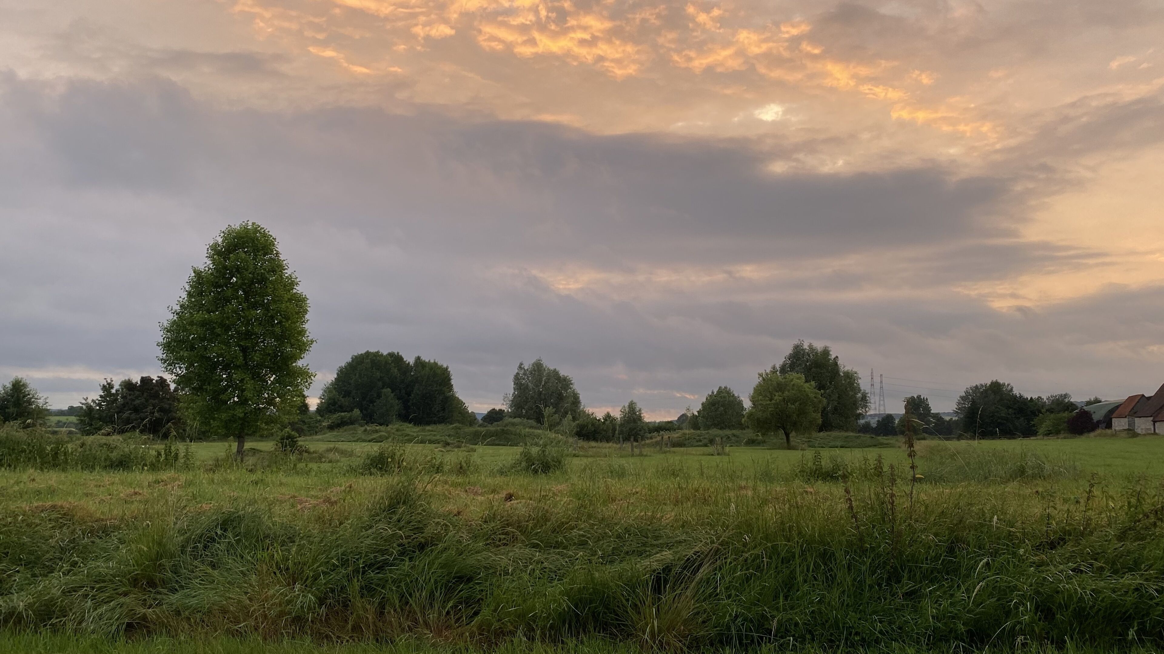 Un paysage rural avec un champ, des arbres et un ciel nuageux.