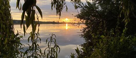 A serene lake with a sunset, surrounded by dense foliage.