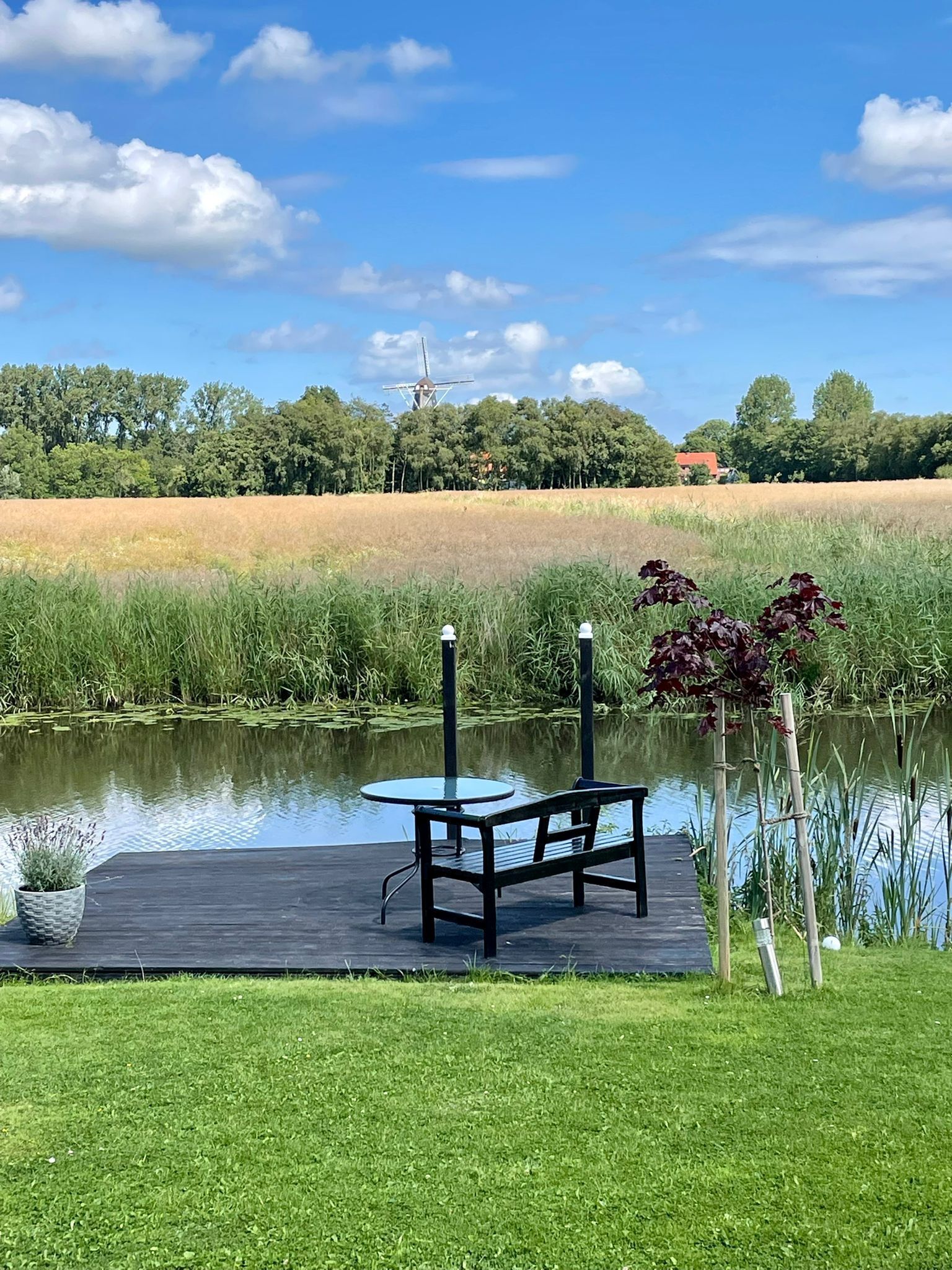 A serene outdoor seating area with a table and bench by a pond, surrounded by lush greenery and a distant windmill.