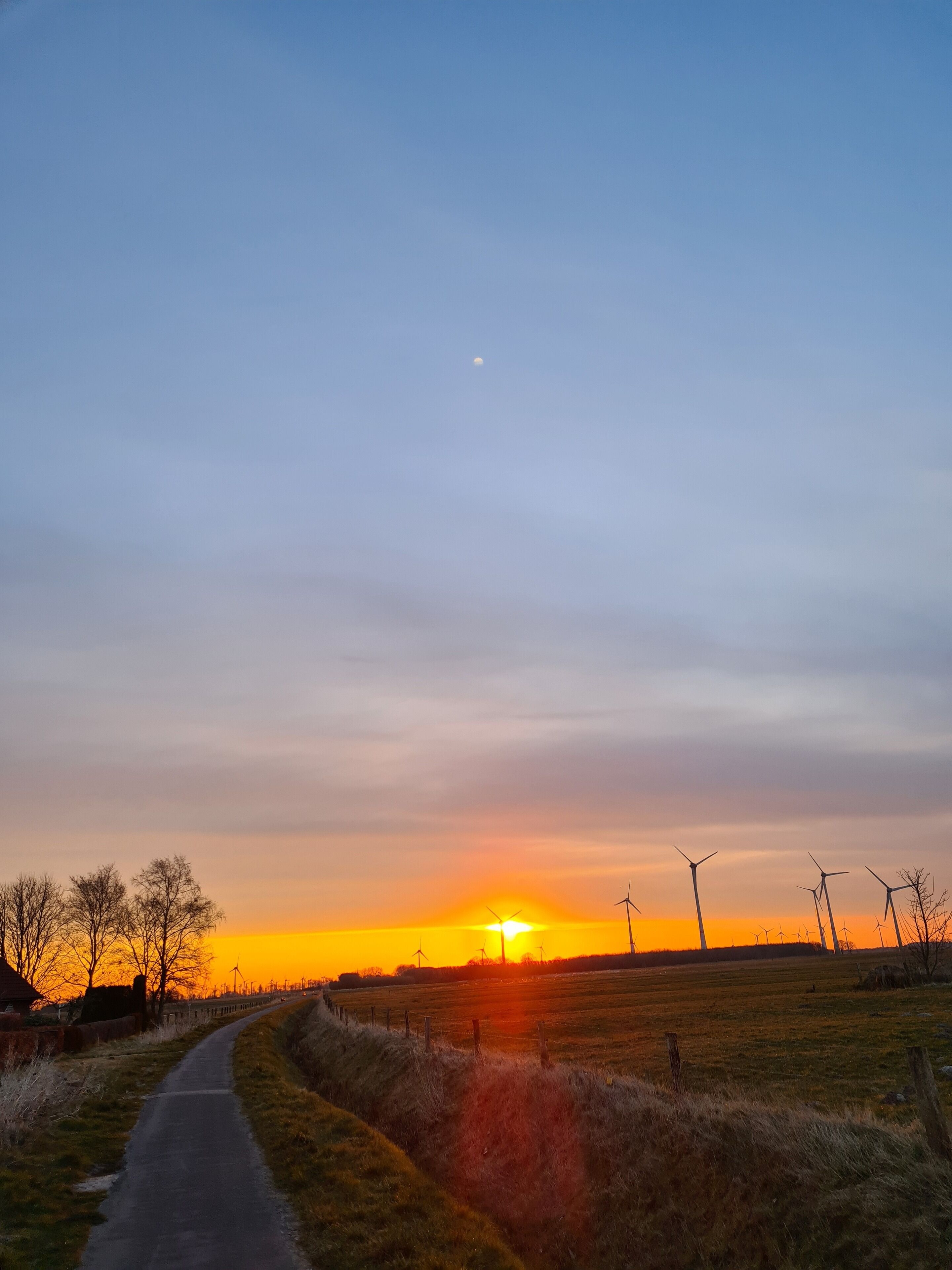 A rural landscape with a paved path, wind turbines, and a sunset.