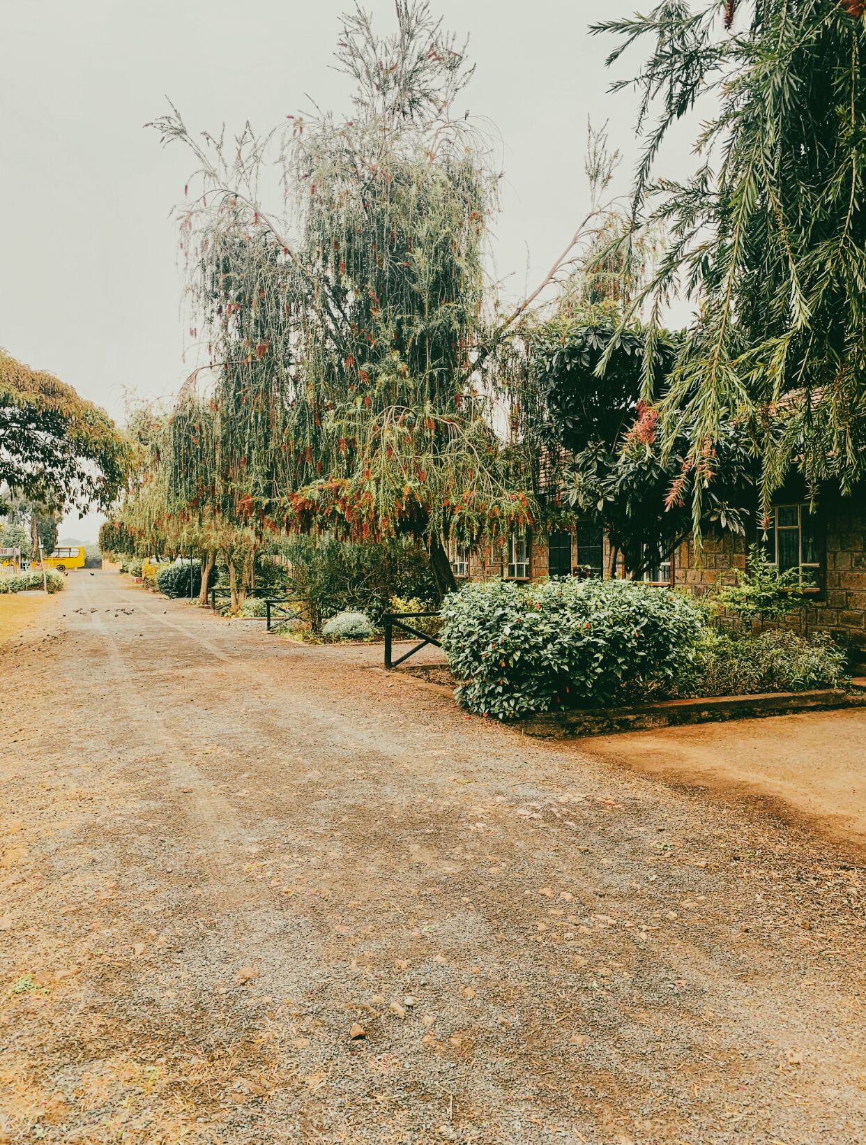 Overnattingsstedets uteområder