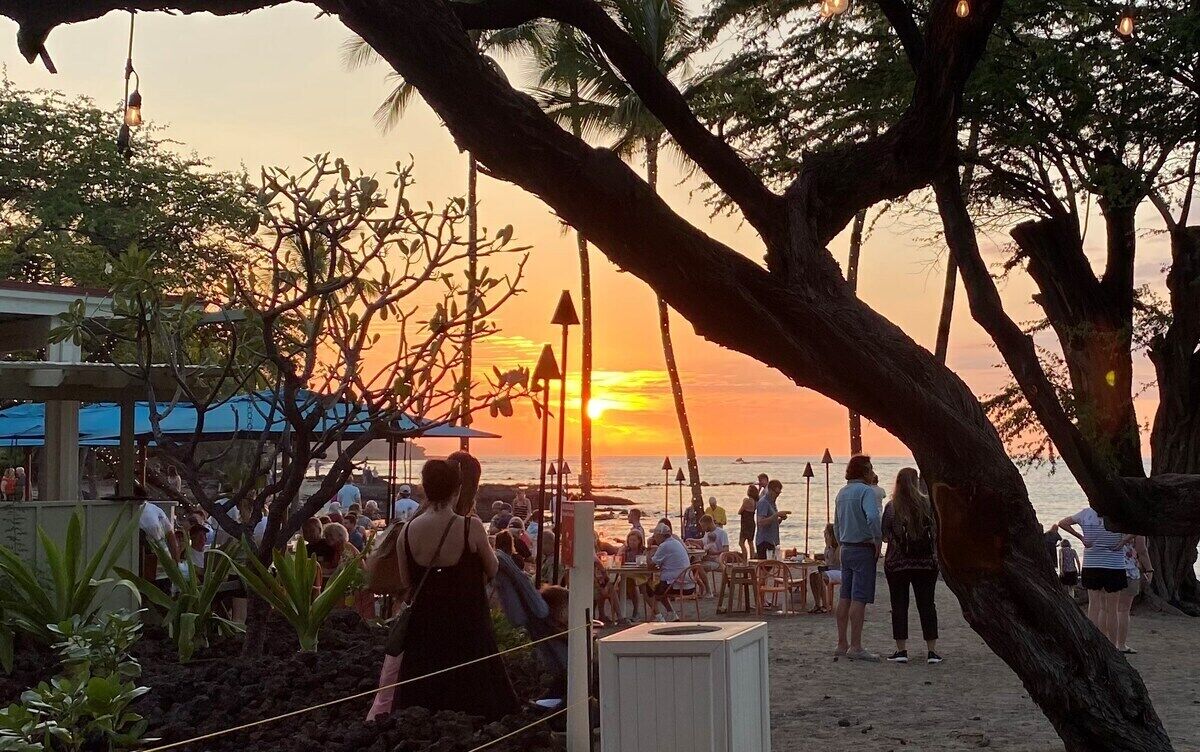 Un restaurante frente a la playa con terraza al aire libre, vista al océano y palmeras al frente.