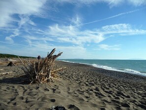 A sandy beach with driftwood and footprints, a clear sky, and a calm sea. - Apartment No. 1, Casalevecchio (Casale Marittimo)