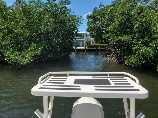 Un bateau à pont blanc et doté d’un moteur, en premier plan, entouré d’une végétation dense de mangroves et avec un bâtiment visible à l’arrière-plan.