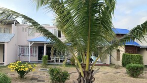Un patio con una palmera, un arbusto pequeño y un macizo de flores amarillo. Se observan edificios con tejados azules y una zona de estar cubierta.