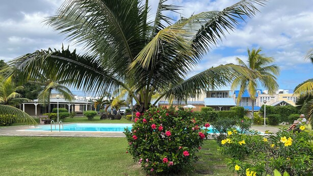 Zona de piscina con una pileta azul cristalina, rodeada de abundante vegetación y palmeras.
