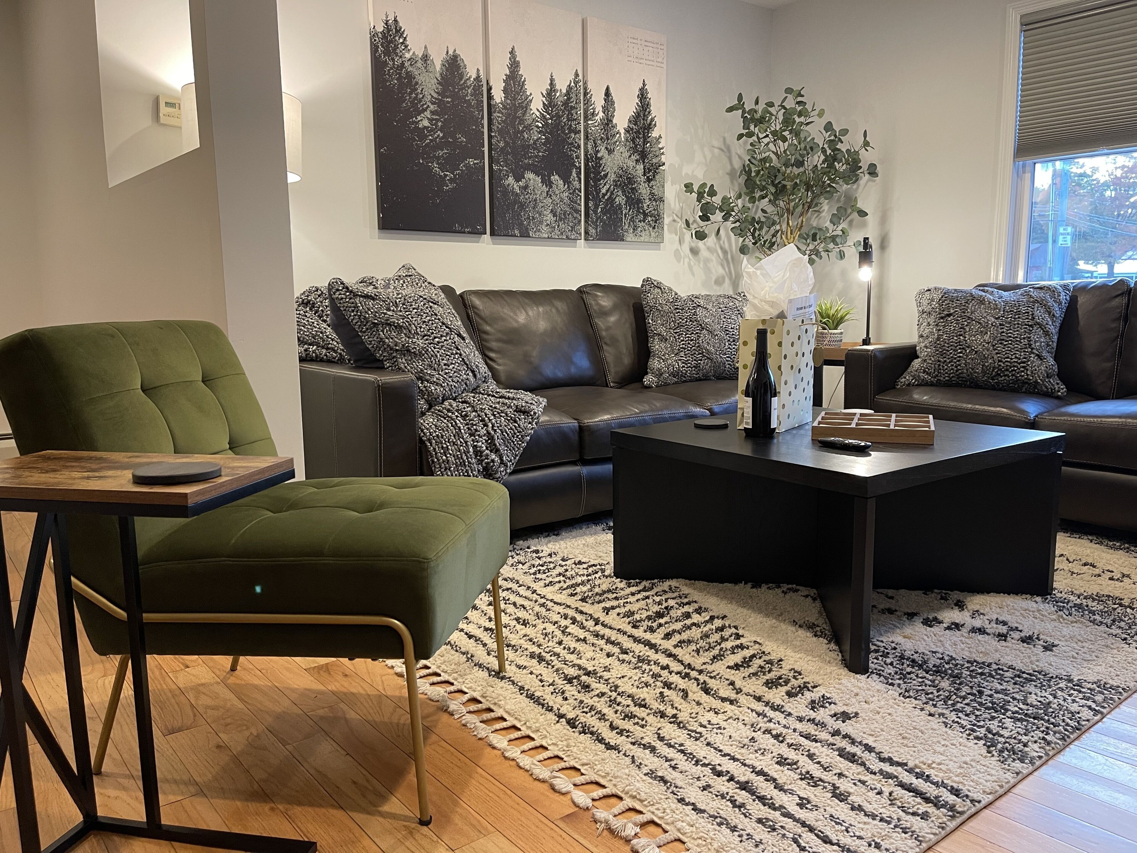 Beautiful and clean 2 BR (sleeps 6) apt 1/2 mile to Cooperstown All Star Village