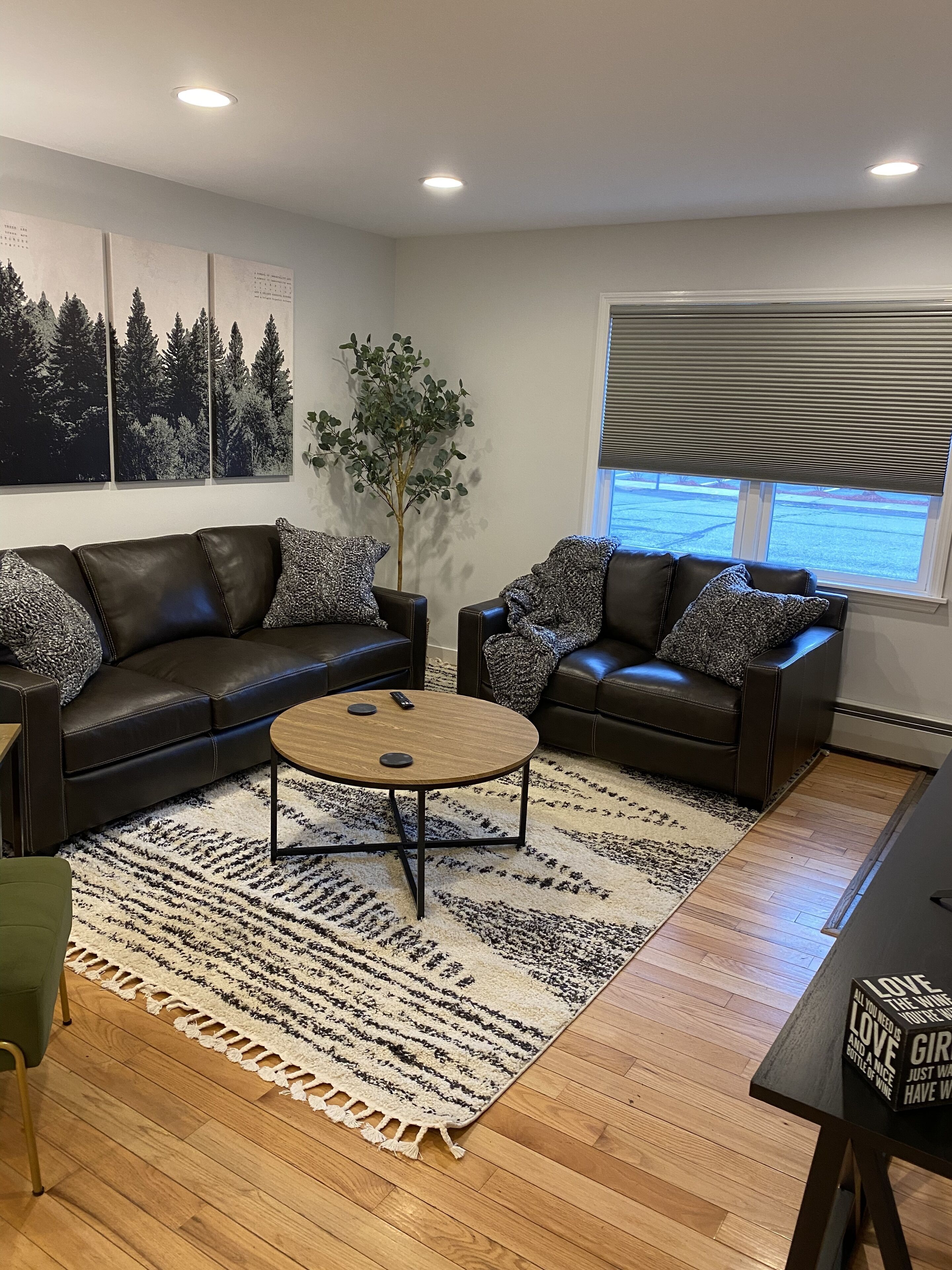 Beautiful and clean 2 BR (sleeps 6) apt 1/2 mile to Cooperstown All Star Village