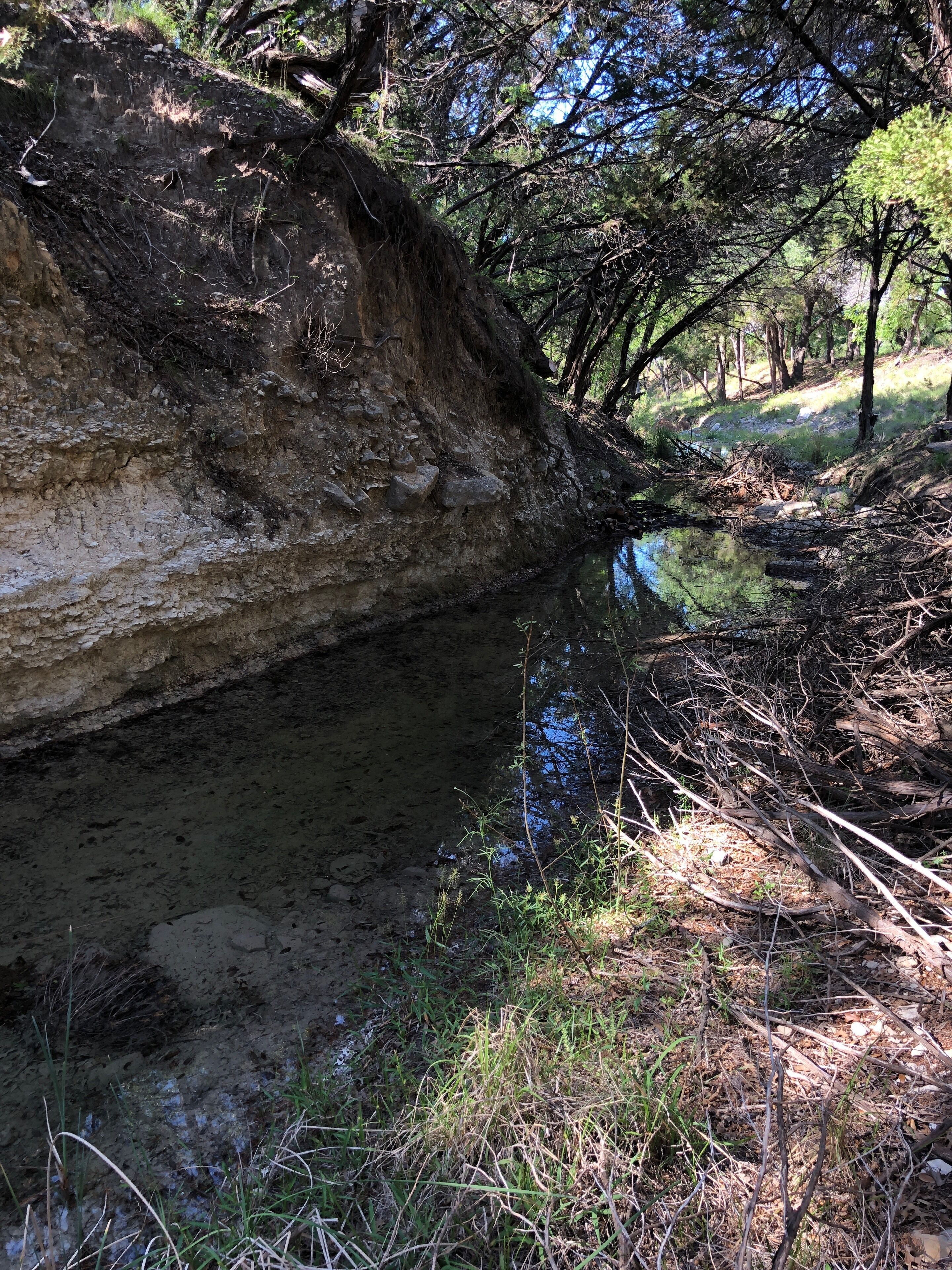 A natural landscape with a rocky cliff, a small stream, and surrounding vegetation.