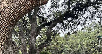 130 Acres with cabin in the woods-- 7 miles from downtown Boerne