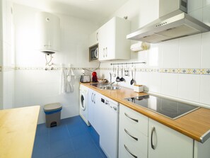 Fully equipped kitchen with a sink, stovetop, microwave, and washing machine.