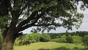 A rural landscape with a large tree, a fenced field, and rolling hills in the background. - Unwind in a relaxing a fun accommodation in a beautiful rural setting. (East Haddon)