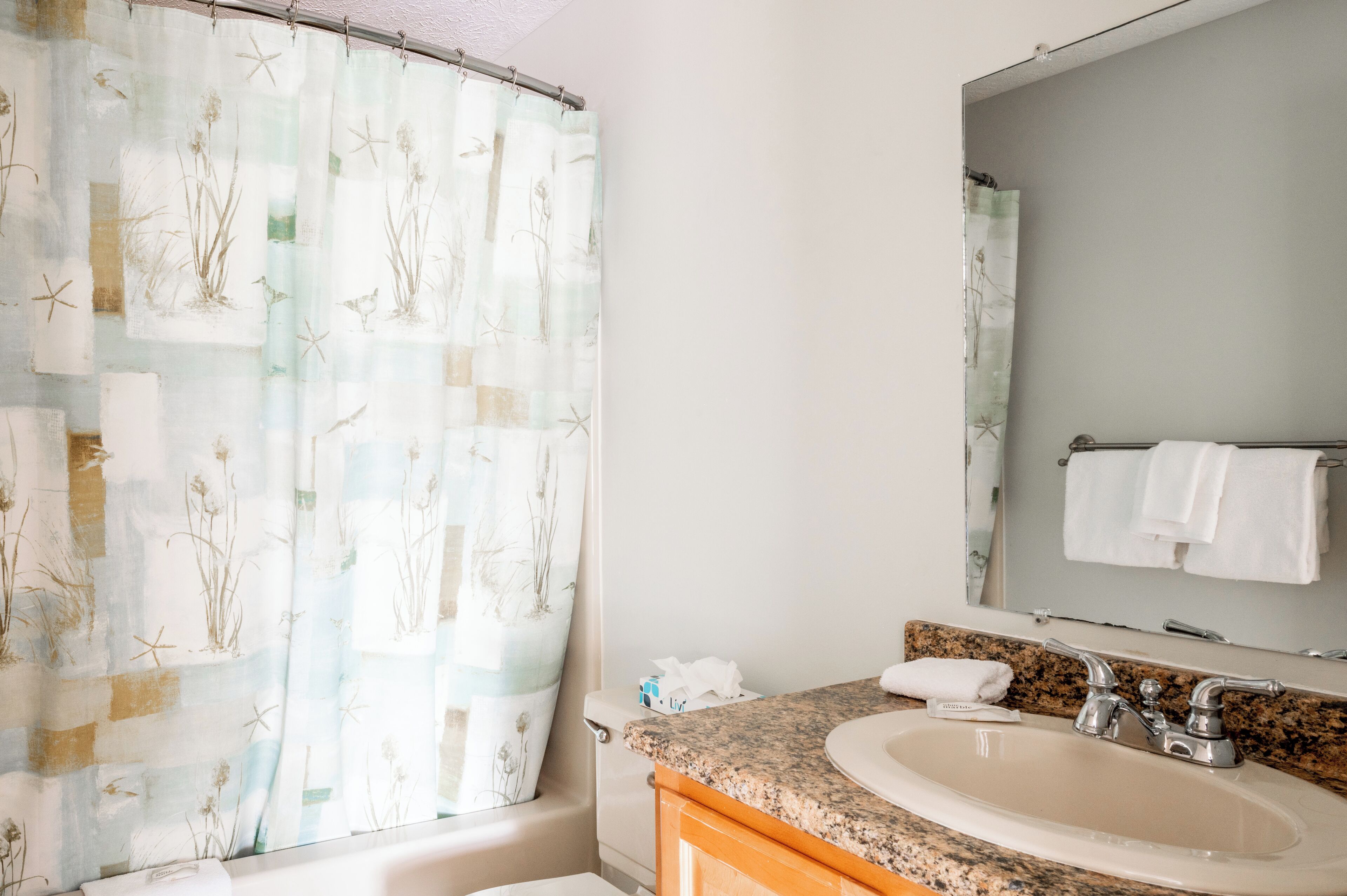 Une salle de bain avec un rideau de douche orné d’un motif naturel, un lavabo avec un plan de travail en granit et un miroir au-dessus du lavabo.
