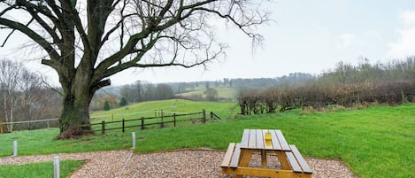 Une table de pique-nique se trouve dans un espace herbeux, avec un grand arbre en arrière-plan.