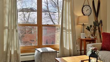 Een televisie, een open haard en een muziekbibliotheek