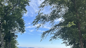 Blick auf ein bewaldetes Gebiet mit blauem Himmel und entfernten Bergen.